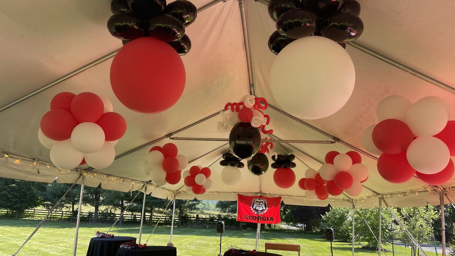 Inside a white frame tent dressed with a balloon installation overhead, looking out across a lawn